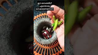 ഈ രസത്തിന് എന്തൊരു രസമാണെന്നോ!!!#shorts#rasam #rasamrecipe#rasamrecipes