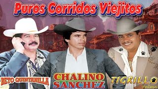 Beto Quintanilla, Tigrillo Palma \u0026 Chalino Sanchez Mix🪗 Puros Corridos Viejitos💃 Sus Mejores Éxitos🎶