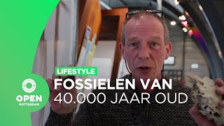 Fossielen van 40 duizend jaar oud op de Tweede Maasvlakte | Lifestyle