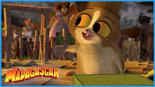 Cuteness attack 😍 | Best of Mort | DreamWorks Madagascar