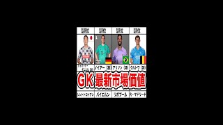 【2022年 W杯直前】ゴールキーパー最新市場価値ランキングTOP20