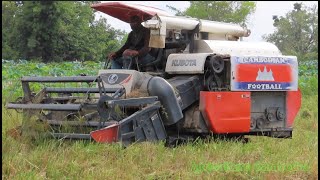 Agriculture Equipment Rice Harvesting កសិករប្រមូលផលស្រូវនៅកម្ពុជា