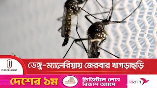 মাটিরাঙ্গা পৌর এলাকা ডেঙ্গুর হটস্পট হিসেবে চিহ্নিত |#Khagrachari Dengue and Malaria | Independent TV