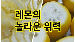 레몬의 놀라운 위력