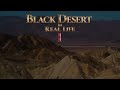 black desert online in real life