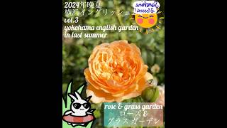 【2024年晩夏 横浜イングリッシュガーデン】ニュアンスカラーガーデン