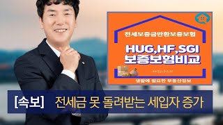 전세보증반환보험의 차이점과 장단점 설명