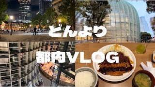 [VLOG]11月の土曜日に都内散歩巡り（国立新美術館、東京駅）#1