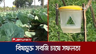 কম খরচে কীভাবে বিষমুক্ত সবজি উৎপাদন করছেন কৃষকরা? | Jessore non-toxic vegetable | Jamuna TV