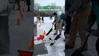 Voici comment la crème glacée était fabriquée dans les années 1890 ❄️🍧 (@dupageforest)