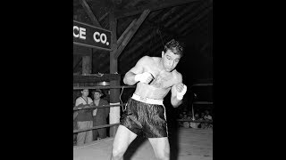 Rocky Marciano - A Bull with Gloves