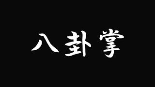 八卦掌baguazhangの套路（型）や実戦技法の動画！！中国武術・八極八卦練技拳社・東京板橋教室