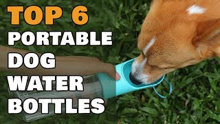 Top 6 Portable Dog Water Bottles for Travel, Hiking, or Everyday Walks