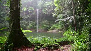 RAIN IN THE WOODS SLEEP SOUNDS | Nature's White Noise For Relaxation, Studying or Sleep