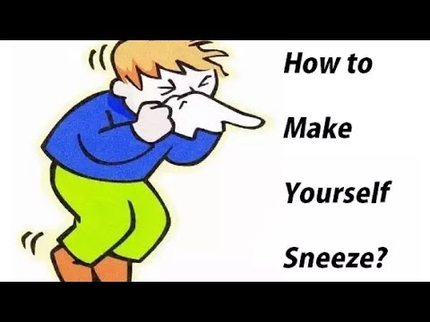 12 Tricks To Make Yourself Sneeze | How To Make Yourself Sneeze 12 Tricks To Make Yourself Sneeze | How To Make Yourself Sneeze