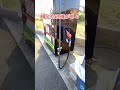 香川⛽『給油機の自販機』🌠香川県高松市多肥上町字立石1870 3 自販機 ガソリンスタンド 高松