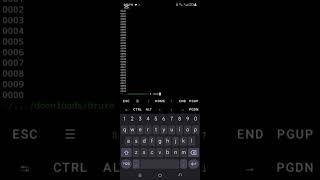How to Crack Locked Zip Files Using Python | Hack With AI