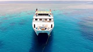 Liveaboard Cairns, Reef Encounter Promo Video