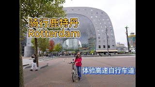 VANLIFE in Rotterdam, encountered the Dutch royal  welcome gift, and visited Rotterdam Chinatown