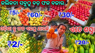 Kolkata Fruit Market \\\\ କଲିକତା ସବୁଠାରୁ ଶସ୍ତା ରେ ଫଳ ମିଳେ🍎\\\\ ଏତେ ଶସ୍ତା ଦେଖିଲେ ଜାଣି ପାରିବେ