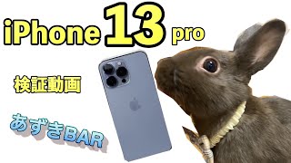 iPhone13proでウサギを撮影したら驚愕の検証動画