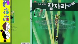 하하쌤/곤충 비행사 잠자리/자연,관찰,과학,가을/동화,그림책,읽어,선생님,잠자리,모음,구연,영아,유아,korean,hangul,kids,story