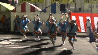 2013　阿波踊り　飛舞枝　ひばり祭り　１