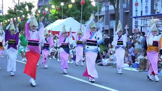 若阿友連、徳島市阿波おどり振興協会選抜連【4K】／西口南通り演舞場（本祭二日目）／第37回 南越谷阿波踊り2023