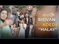 Ridvan Adede-Halay