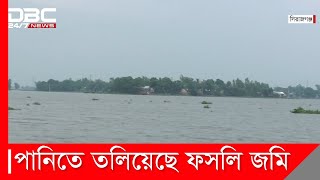 উজানে বৃষ্টি পানিবন্দি হাজারও মানুষ