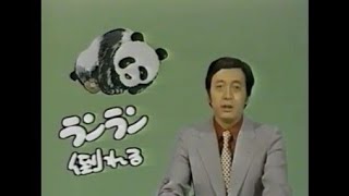 ランラン倒れる (1979.8.31) ◆日本中が心配したあの日◆山川千秋