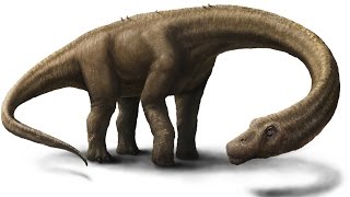 Scientists Discover 65-Ton Dinosaur 'Dreadnoughtus'