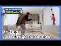 Mr. Bug, you may go home now (The Return of Superman Ep.425-2) | KBS WORLD TV 220410