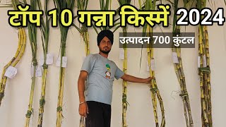 टॉप 10 गन्ना प्रजातियां 2024 | Top 10 Sugarcane Varieties 2024