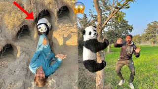 Talha Bhi Phr Panda 🐼 Ka Hamla Hamare Village Ke Jungle Mein Barfani Panda A Gaya 😱