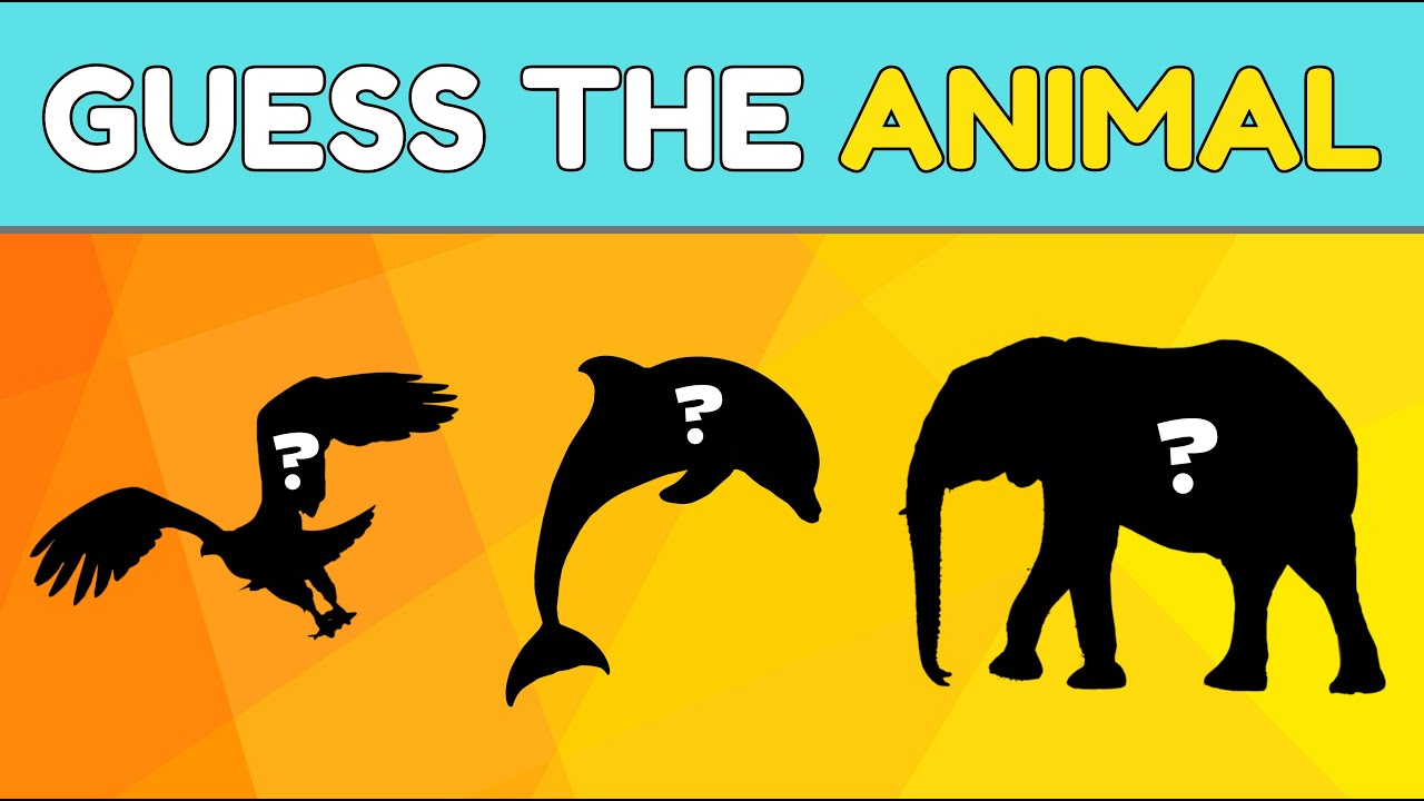 Guess The Animal By Shadow Guess The Animal Quiz Youtube