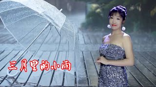 动感DJ《三月里的小雨》王恰恰，欢快的节奏，格外动人心弦！