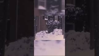 51 years since Macon received 17 inches of snow in a brutal blizzard
