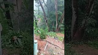 മഴക്കാലം വന്നു