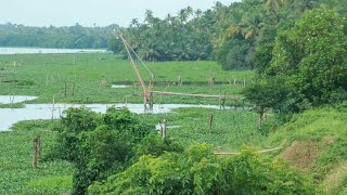 ഫിഷറീഷ് വകുപ്പ് ഒഴിവാക്കിയ ചീനവലകൾ പുനസ്ഥാപിക്കാന്‍ നീക്കം | Vaikom |Fisheries