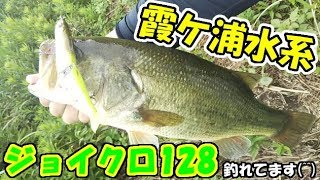 霞ケ浦 バス釣り 一の瀬川 備前川 ジョイクロ１２８反応いいです(^^)b