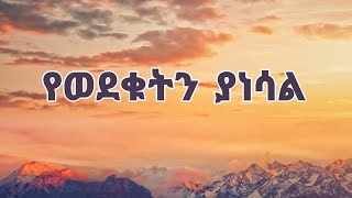 የወደቁትን ያነሳል | New Ethiopian Orthodox Christian Amharic Song