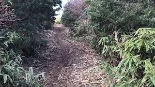 '19年忘年山行「玄岳」動画（2）山頂まであと少し