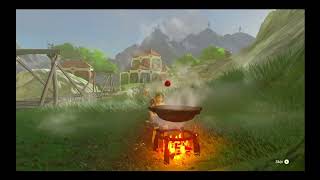 You can COOK the SHEIKAH SLATE and PARAGLIDER in BotW!?