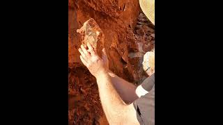 Biggest Quartz Crystal find of my life!