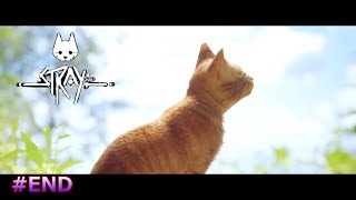 Stray(ストレイ)親友と脱出を目指す猫#END