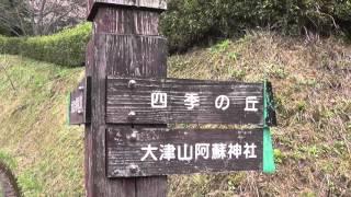 大津山自然公園のさくら