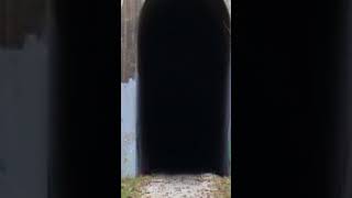 What's inside this forbidden tunnel: Jump scare #shorts