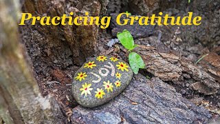 The Contemplative Life: Practicing Gratitude
