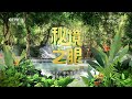 《秘境之眼》 藏酋猴 20240423 cctv